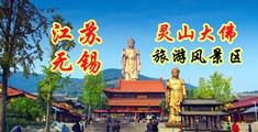大jb插b视频网站江苏无锡灵山大佛旅游风景区