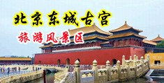 啊啊啊啊啊操我射视频中国北京-东城古宫旅游风景区